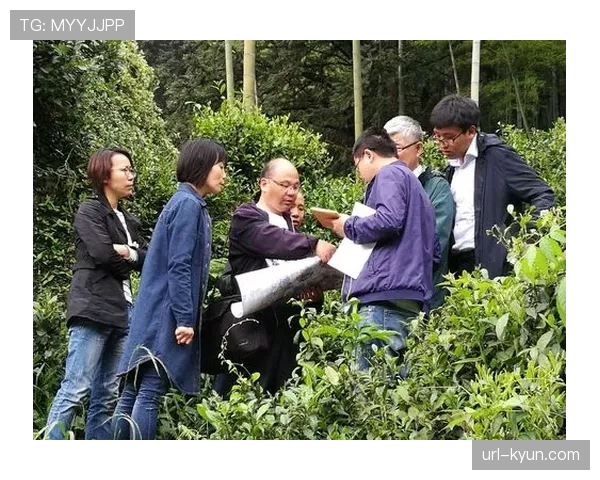 国际篮联考察团到访,评估CBA联赛为世界杯筹备工作 国际篮联考察团到访,评估CBA联赛为世界杯筹备工作